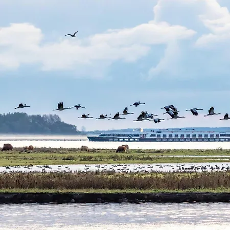 Bernstein An Der Seebruecke Appartement *
